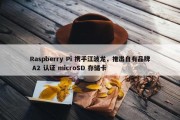 Raspberry Pi 携手江波龙，推出自有品牌 A2 认证 microSD 存储卡