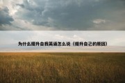 为什么提升自我英语怎么说（提升自己的原因）