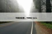 中国创业者，不敢追 Sora
