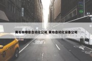 黄石有哪些自动化公司 黄石自动化设备公司