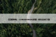 《忍者神龟：COWABUNGA合集》将从日本下架