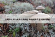 公司什么岗位提升自我效能 如何提升自己的岗位技能