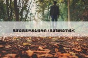 黑客自我素养怎么提升的（黑客如何自学成才）