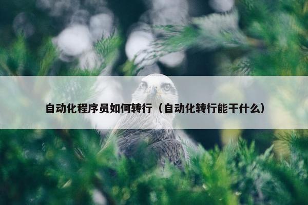 自动化程序员如何转行（自动化转行能干什么）