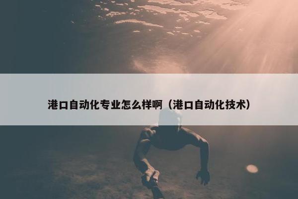 港口自动化专业怎么样啊（港口自动化技术）