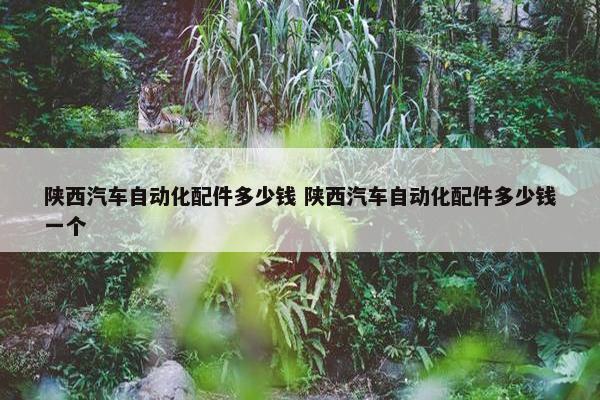 陕西汽车自动化配件多少钱 陕西汽车自动化配件多少钱一个