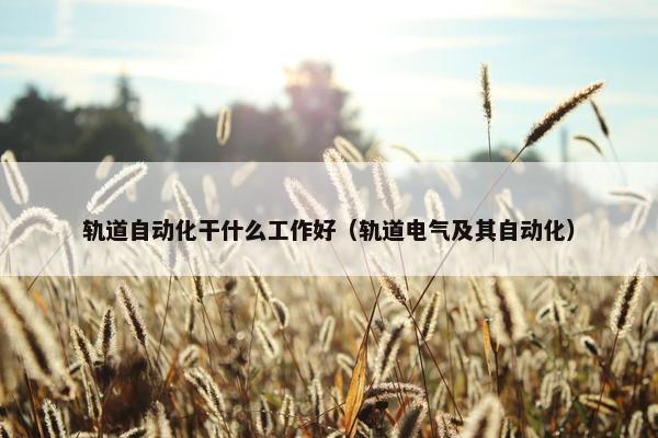 轨道自动化干什么工作好（轨道电气及其自动化）