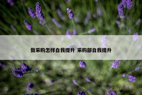 做采购怎样自我提升 采购部自我提升