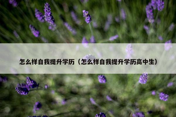 怎么样自我提升学历（怎么样自我提升学历高中生）