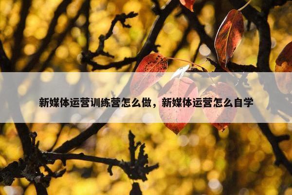 新媒体运营训练营怎么做，新媒体运营怎么自学