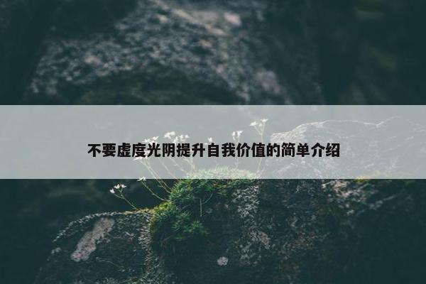 不要虚度光阴提升自我价值的简单介绍