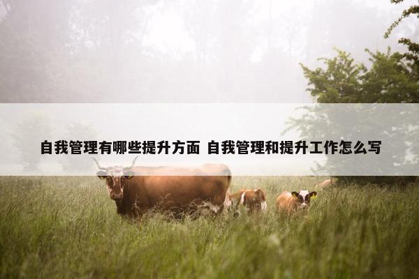 自我管理有哪些提升方面 自我管理和提升工作怎么写