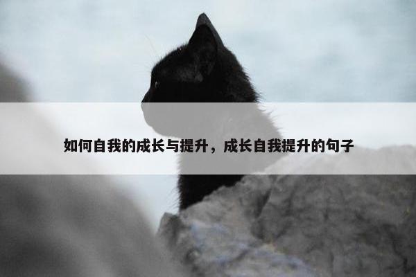 如何自我的成长与提升，成长自我提升的句子