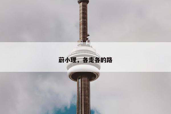 蔚小理，各走各的路