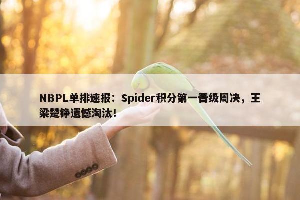 NBPL单排速报：Spider积分第一晋级周决，王梁楚铮遗憾淘汰！