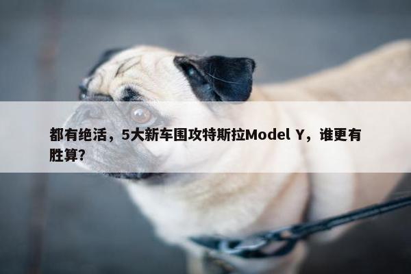 都有绝活，5大新车围攻特斯拉Model Y，谁更有胜算？