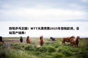 致敬乒乓王国！WTT大满贯赛2025年登陆欧洲，首站落户瑞典！