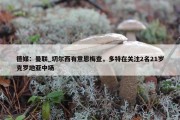 德媒：曼联_切尔西有意恩梅查，多特在关注2名21岁克罗地亚中场