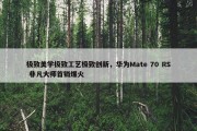 极致美学极致工艺极致创新，华为Mate 70 RS 非凡大师首销爆火