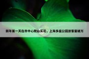 新年第一天在市中心爬山买花，上海多座公园游客量破万