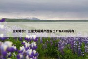 应对降价：三星大幅减产西安工厂NAND闪存！