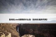 自动化cmd调用的什么包（自动化程序代码）