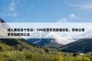 成人妻后首个生日！TVB花旦东京甜蜜庆生，获老公宠爱有加犹如公主