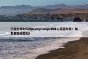 玩家分享对马岛&amp;羊蹄山画面对比：每张都能当壁纸！