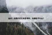 追问｜当我们记忆和思考时，大脑在干什么？