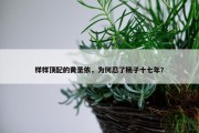 样样顶配的黄圣依，为何忍了杨子十七年？