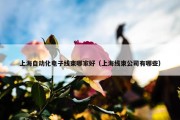 上海自动化电子线束哪家好（上海线束公司有哪些）