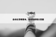 自动化泵哪里有，自动泵原理示意图