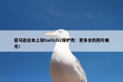 亚马逊日本上架Switch2保护壳：更多主机照片曝光！