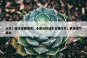 大瓜！曝王宝强塌房，小演员控诉王宝强作秀，更多细节曝光