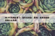 MLXG又喷起来了！怒斥无状态：菜狗！无状态回击：你算什么东西