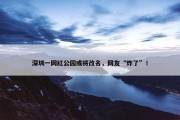 深圳一网红公园或将改名，网友“炸了”！