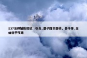 S37法师辅助现状：张良_墨子胜率霸榜，姜子牙_金蝉低于预期