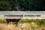 高中历史教师如何提升自我（高中历史老师工作要求）