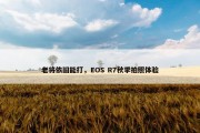 老将依旧能打，EOS R7秋季拍照体验