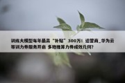 训练大模型每年最高“补贴”300万！运营商_华为云等训力券服务开启 多地推算力券成效几何？