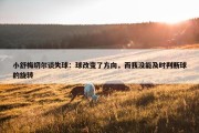 小舒梅切尔谈失球：球改变了方向，而我没能及时判断球的旋转