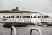 如今的金融圈，拼命努力的只剩官富二代，寒门子弟早已躺平……