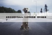 余承东首晒华为Mate 70系列动态图：照片活起来了