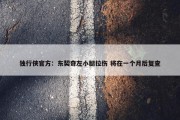 独行侠官方：东契奇左小腿拉伤 将在一个月后复查