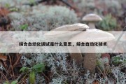 综合自动化调试是什么意思，综合自动化技术