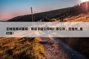 王晓龙再问董路：账目不能公开吗？若公开，您是光_是灯塔！