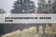 耗资20多亿的古城日均卖票不足20张！省委书记现场步行察看