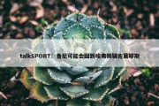 talkSPORT：鲁尼可能会回到埃弗顿辅佐莫耶斯