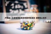 卢伟冰：小米电视业务会持续对标索尼 深耕核心技术