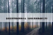 自动化软件集成带来什么（自动化系统集成的工作）